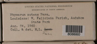 Physarum nutans image